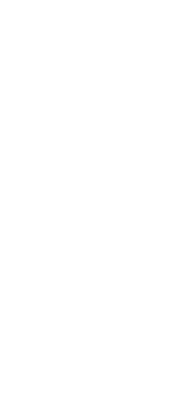 NBW Internet Wizards